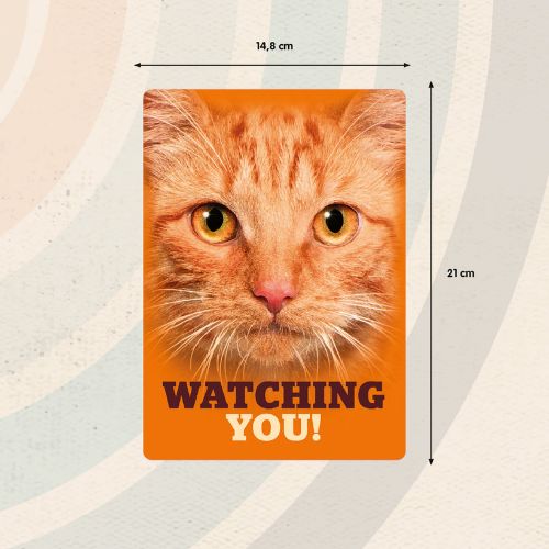 Sign Metal Watching You Oranje kat
