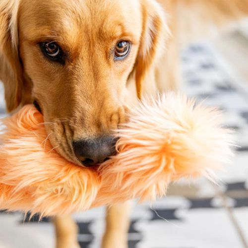 Signe Rowdies - Afbeelding 2