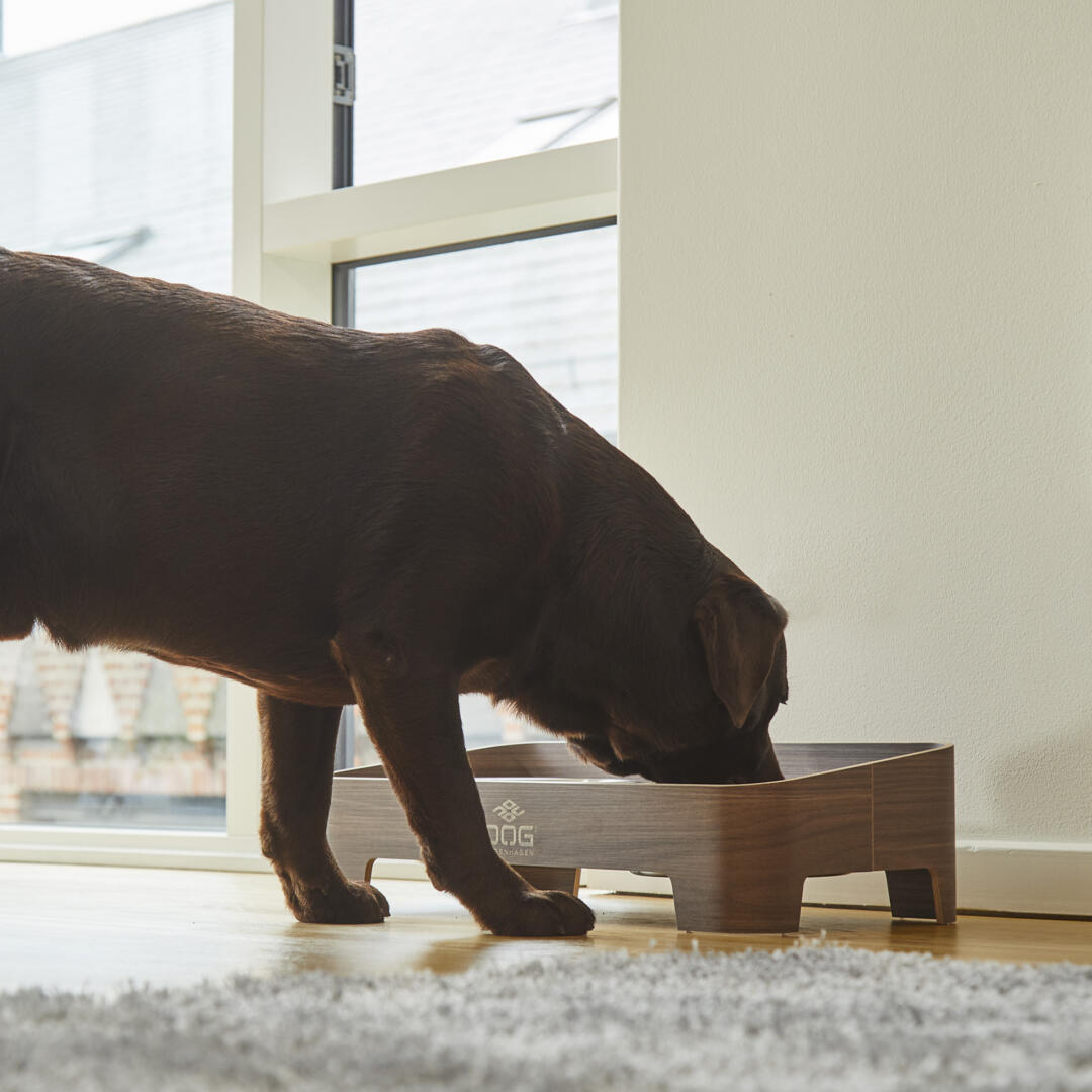 Skagen Food Bar - Afbeelding 33