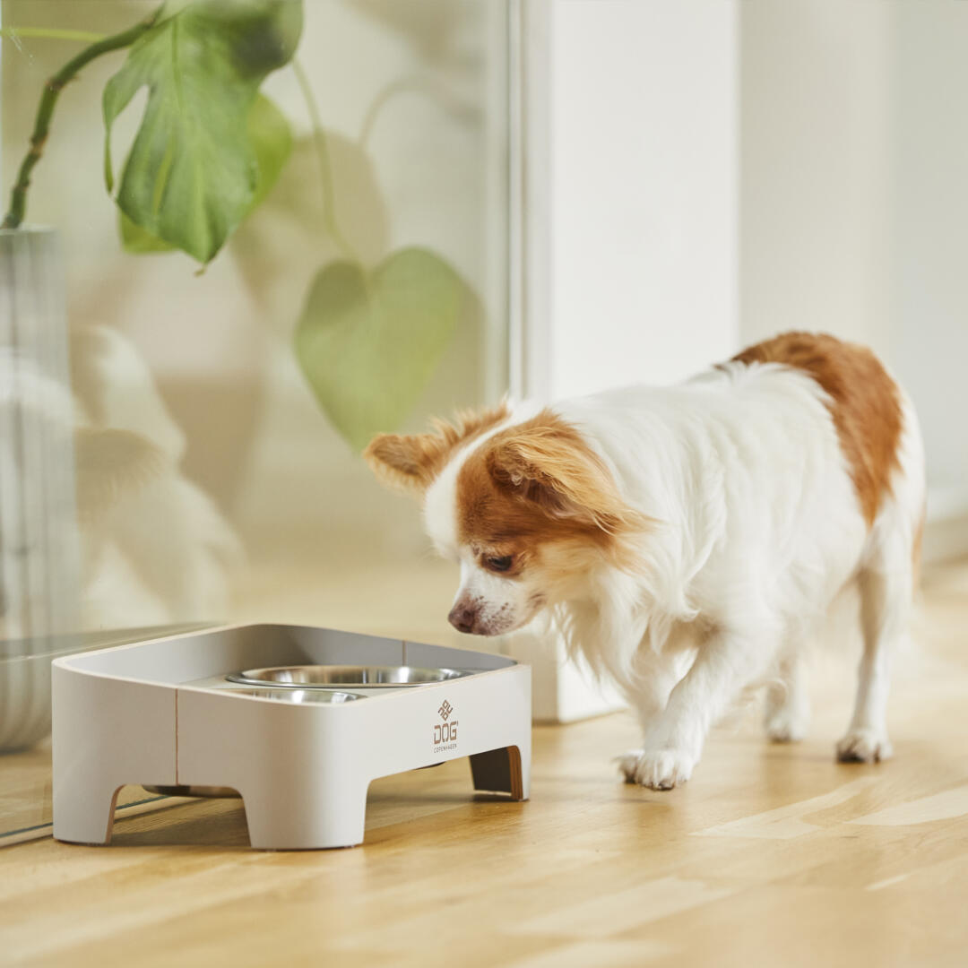 Skagen Food Bar - Afbeelding 32