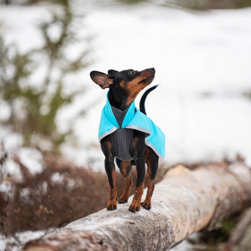 SporttiPomppa - Softshell Jas - Afbeelding 14