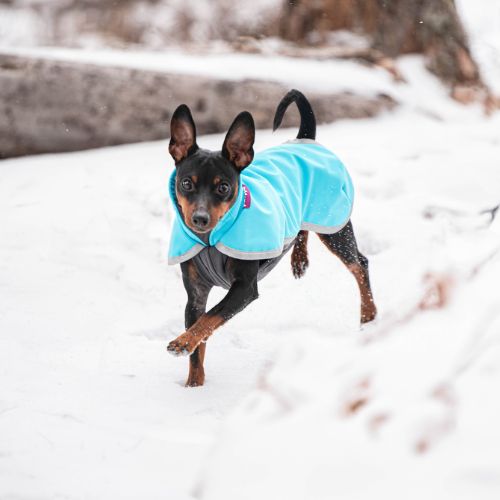 SporttiPomppa - Softshell Jas - Afbeelding 15