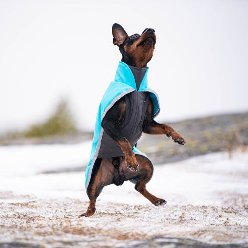 SporttiPomppa - Softshell Jas - Afbeelding 16