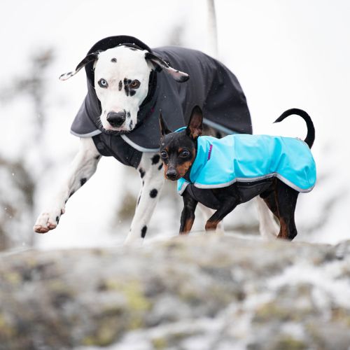 SporttiPomppa - Softshell Jas - Afbeelding 7