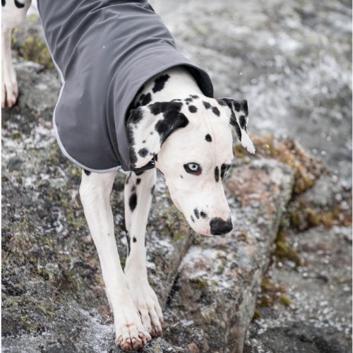 SporttiPomppa - Softshell Jas - Afbeelding 4