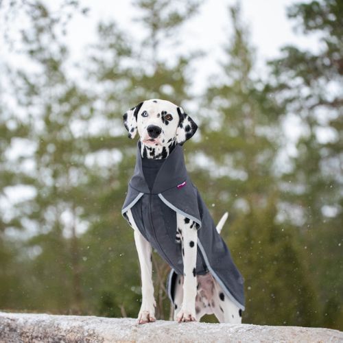 SporttiPomppa - Softshell Jas - Afbeelding 5