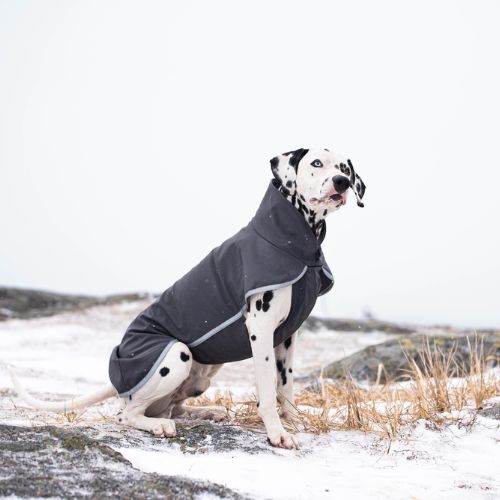 SporttiPomppa - Softshell Jas - Afbeelding 12