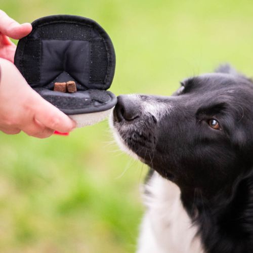 Sweetie Ball - Afbeelding 3