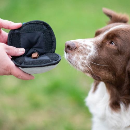 Sweetie Ball - Afbeelding 4