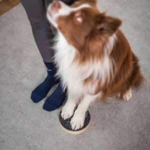 Alternative view of Target Double