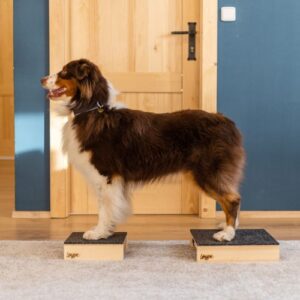 Alternative view of Target Hamtal Tartan Rubber