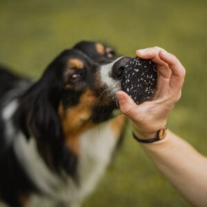 Alternative view of Target Mini Pivot