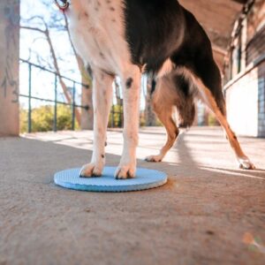 Alternative view of Target Pivot