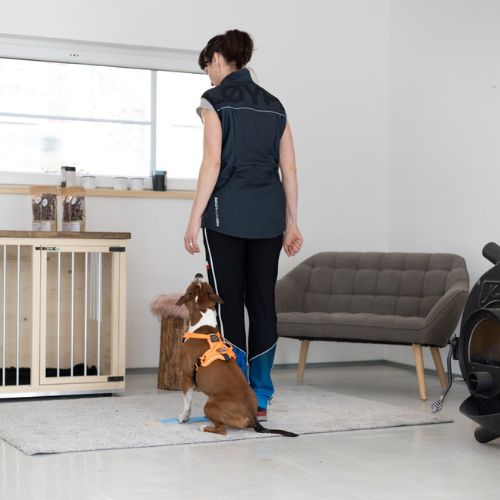 Strivee Target - Afbeelding 6