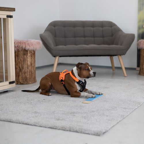 Strivee Target - Afbeelding 5