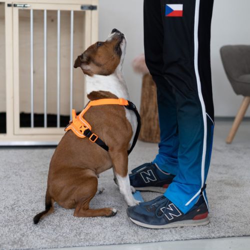 Strivee Target - Afbeelding 4