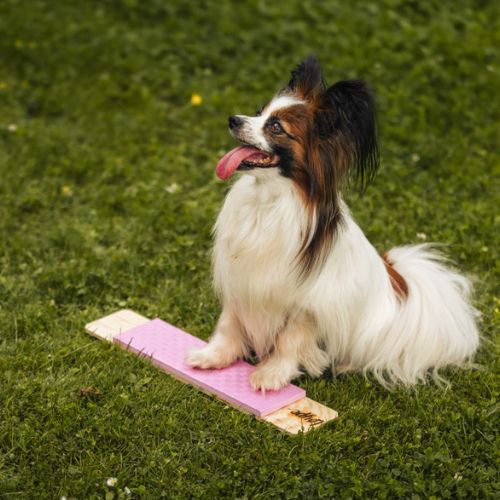 Strivee Target - Afbeelding 2