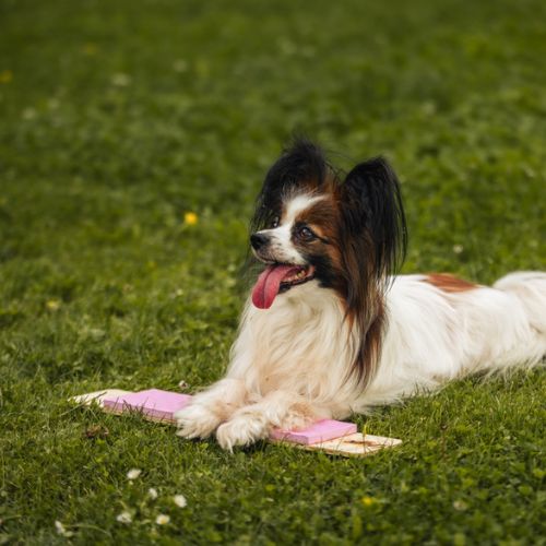 Strivee Target - Afbeelding 3