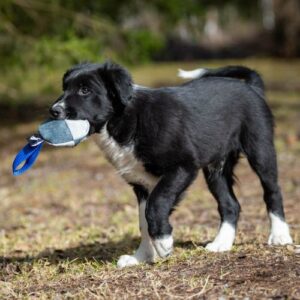 Alternative view of TeenyTiny Ball