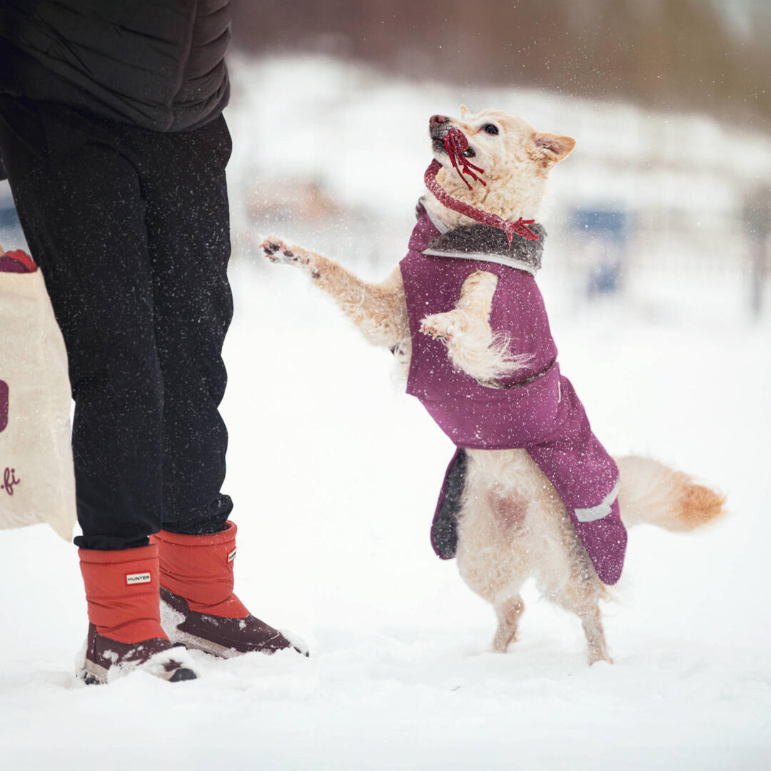 ToppaPomppa winterjas - Afbeelding 8