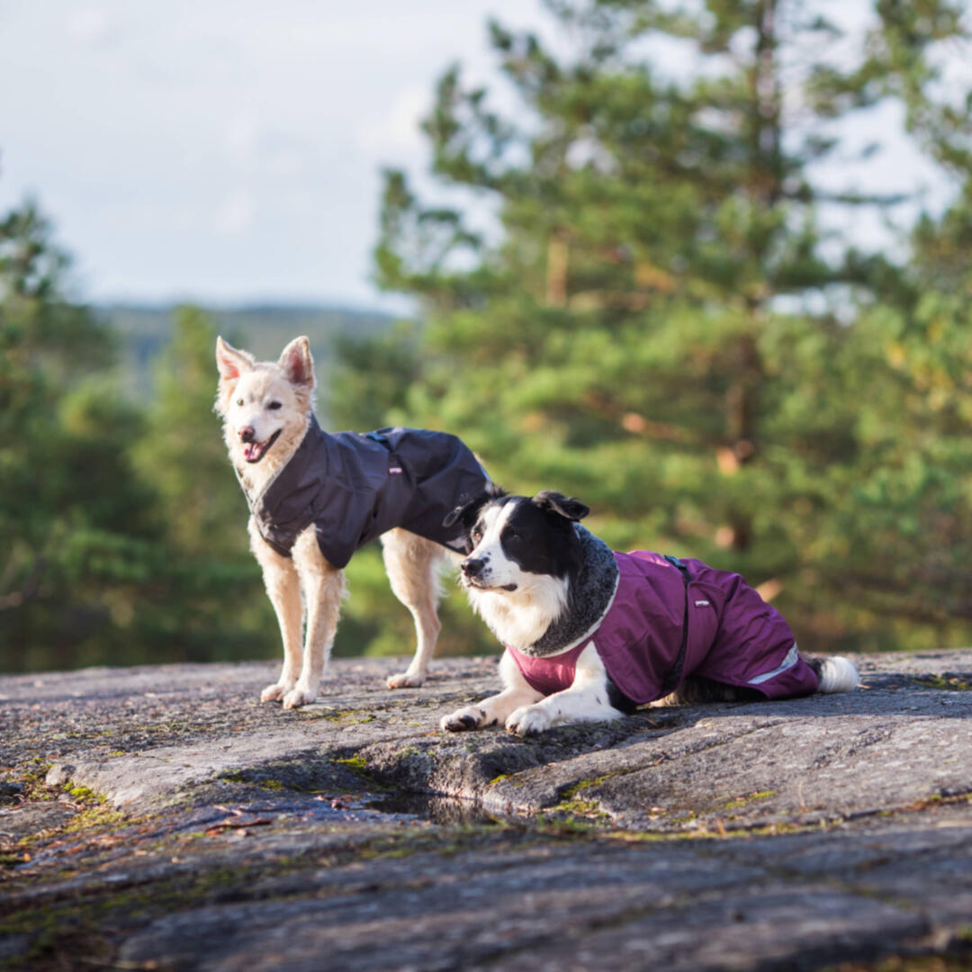 ToppaPomppa winterjas - Afbeelding 7