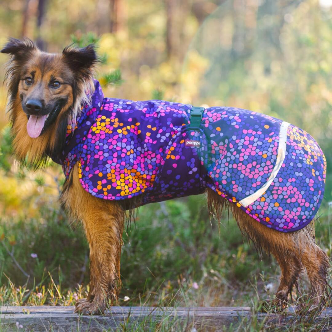 ToppaPomppa winterjas - Afbeelding 9