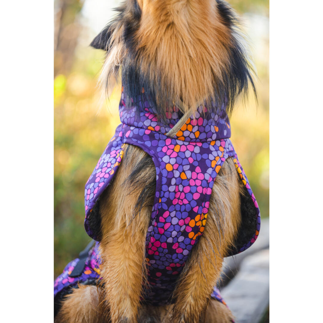 ToppaPomppa winterjas - Afbeelding 10