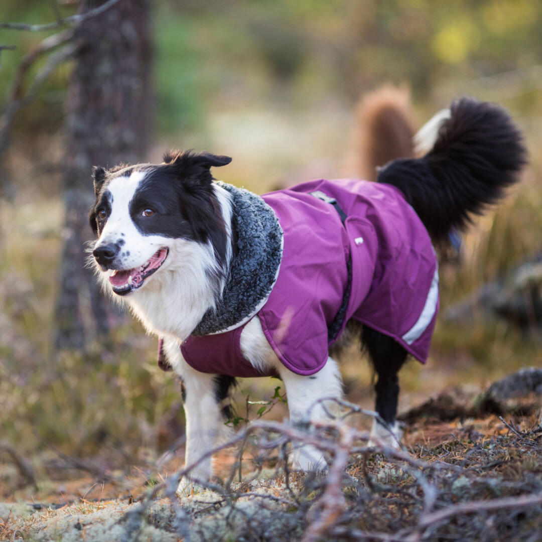 ToppaPomppa winterjas - Afbeelding 6