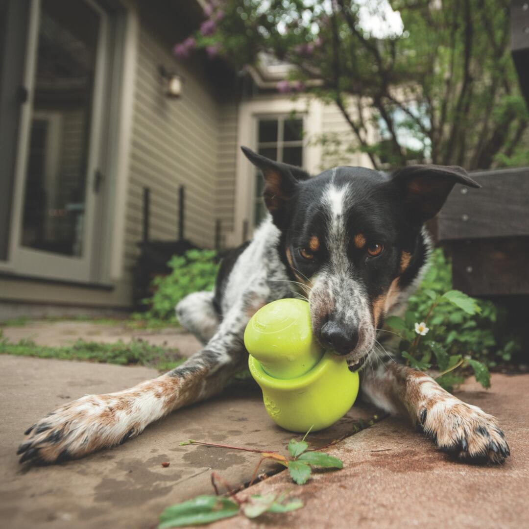 Toppl - Afbeelding 11