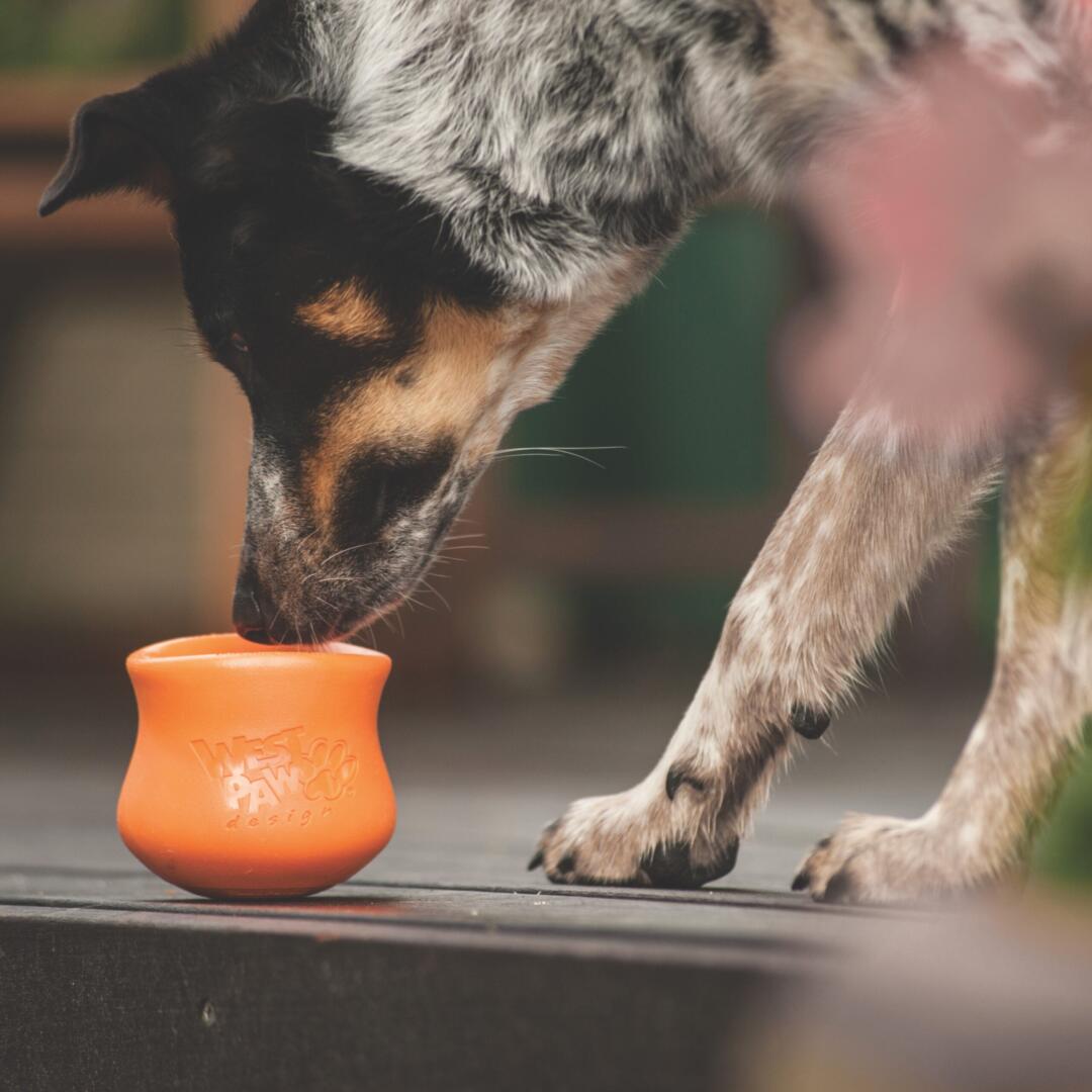 Toppl - Afbeelding 23