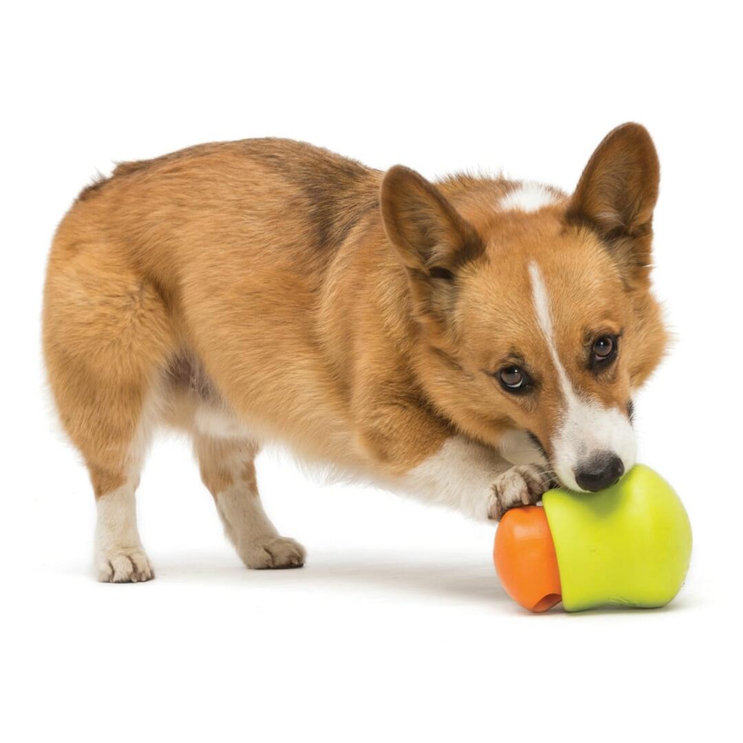 Toppl - Afbeelding 7