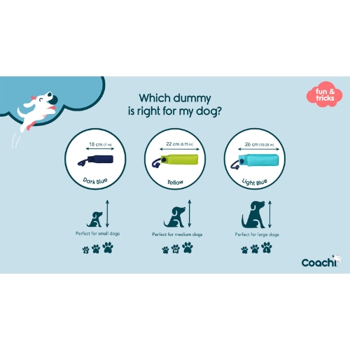 Training Dummy - Afbeelding 4