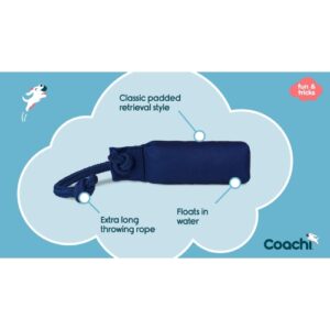 Alternative view of Training Dummy