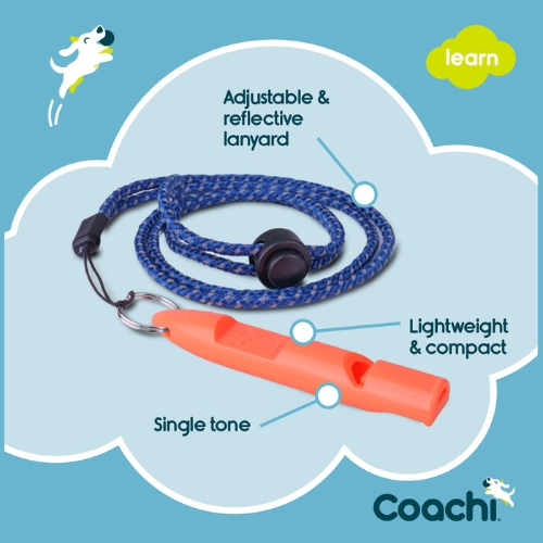 Training Fluit - Afbeelding 3