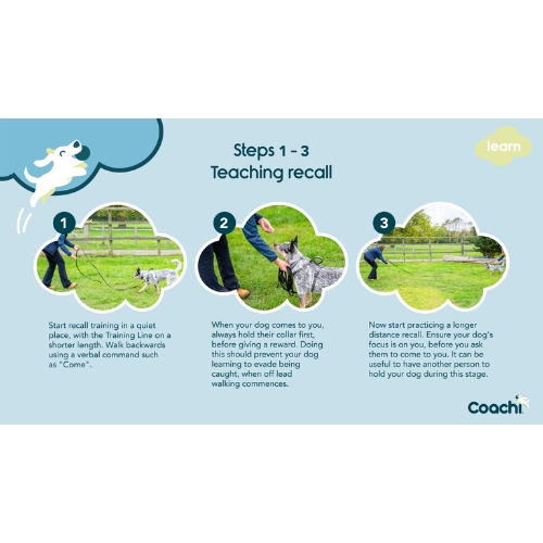 Training Fluit - Afbeelding 4