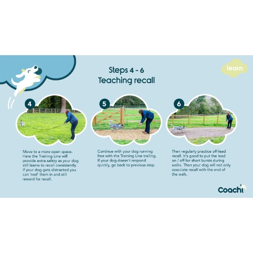 Training Fluit - Afbeelding 5