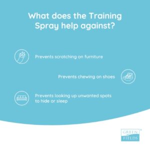 Alternative view of Training Spray