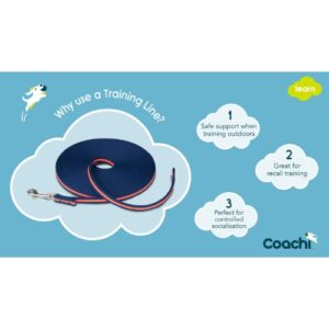 Alternative view of Trainingslijn 10 meter