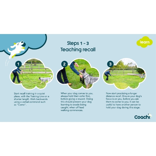 Trainingslijn 10 meter - Afbeelding 6