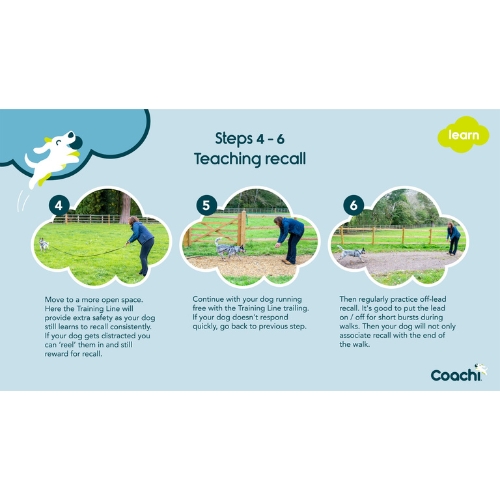 Trainingslijn 5 meter - Afbeelding 6