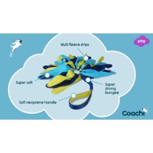 Alternative view of Tuggi Spider