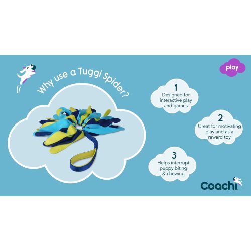 Tuggi Spider - Afbeelding 3