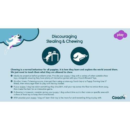 Tuggi Spider - Afbeelding 5