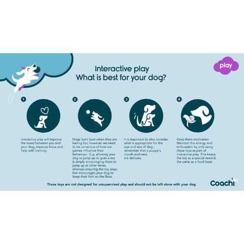 Tuggi Spider - Afbeelding 7