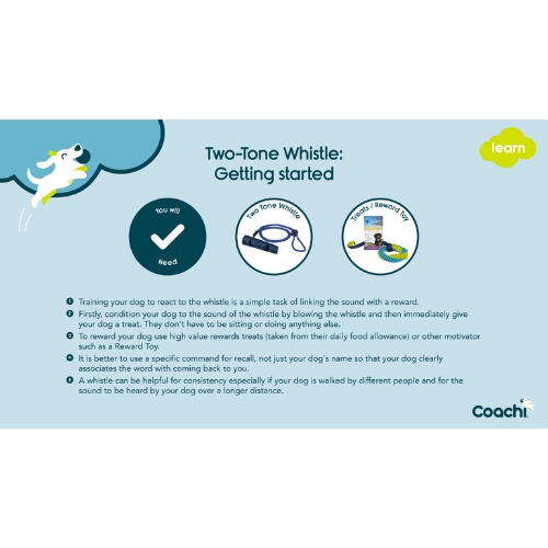 Two Tone Fluit - Afbeelding 5