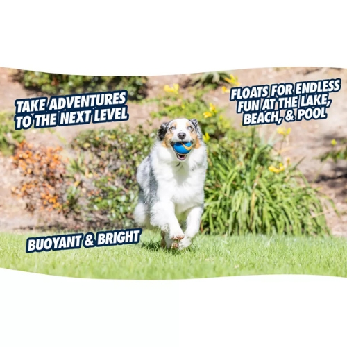 Chuckit! Ultra Squeaker Ball - Afbeelding 5