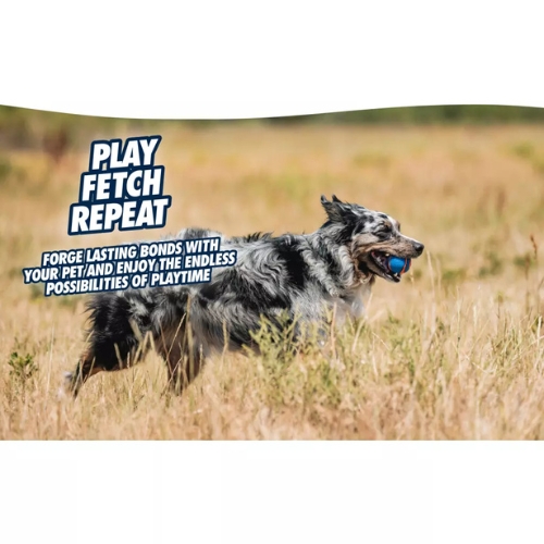 Chuckit! Ultra Squeaker Ball - Afbeelding 6