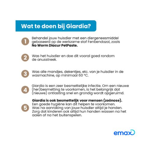 No Worm Diacur - Afbeelding 5