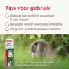 Symptomen van madenziekte bij konijnen: vies achterwerk, futloosheid en maden