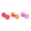Beeztees vinyl halter met stekelballen – hondenspeelgoed in verschillende kleuren, 16,5 x 7 cm